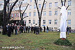 IMG_4631.jpg