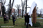 IMG_4678.jpg