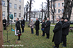 IMG_4744.jpg