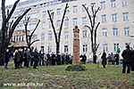 IMG_4752.jpg