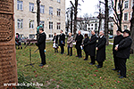 IMG_4764.jpg