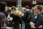 IMG_5741.jpg