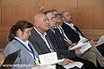 IMG_7001.jpg
