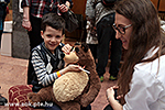 IMG_7255.jpg
