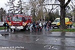 IMG_7299.jpg