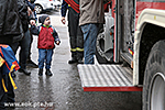 IMG_7333.jpg