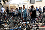 IMG_8031.jpg