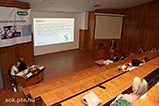 IMG_2262.jpg