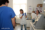 IMG_3016.jpg