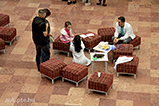IMG_3083.jpg