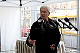 IMG_6353.jpg
