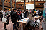 IMG_6897.jpg
