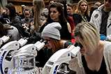 IMG_6916.jpg