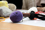 IMG_6917.jpg