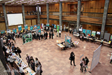IMG_6980.jpg