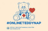 Online Teddy Nap