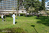 Frisbee toss