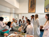 4. "Brain Matters!" workshop