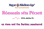 Rózsaszín Séta Pécsett