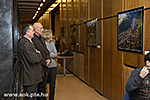 Arts-in-Med esték